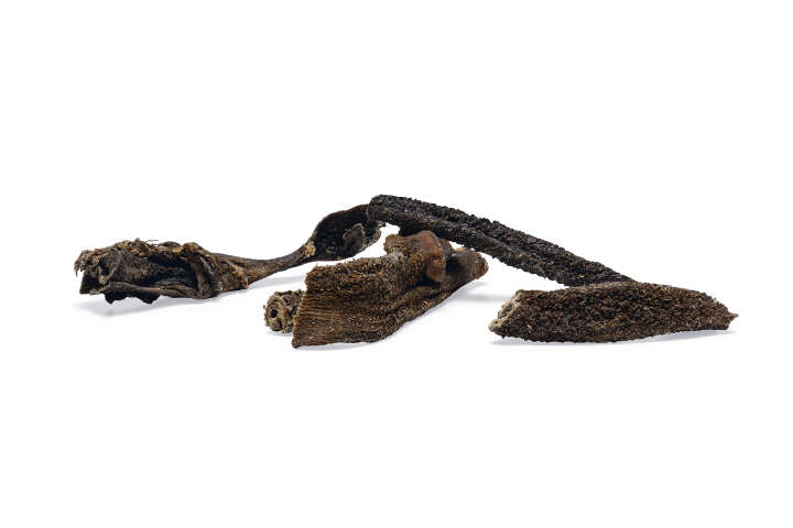 beeztees Hundeleckerlis Pansensticks